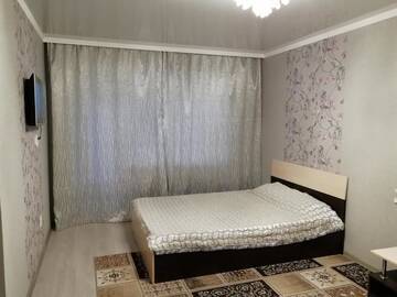 Фото номера Апартаменты с 1 спальней Апартаменты Бирюлька г. Костанай 22
